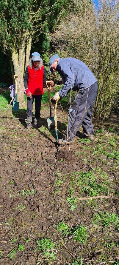 Digging after the winter
